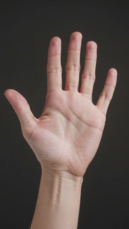 Palma izquierda de demostración con la 1 línea del corazón, la 2 línea de la cabeza y la 3 línea de la vida marcadas en la foto de la mano