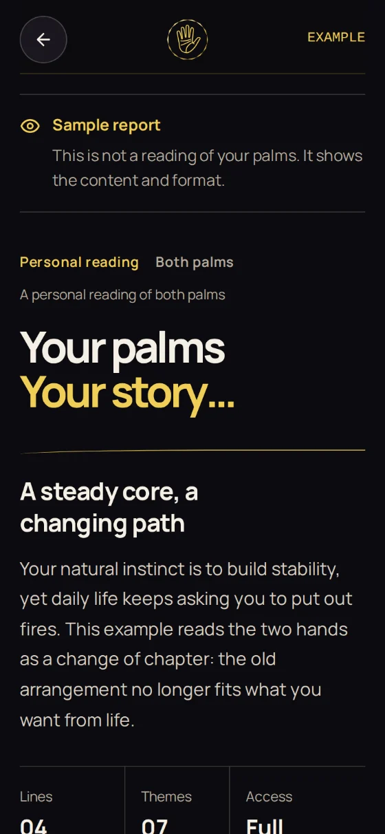 Cover of the sample report: “Your palms. Your story…”, the main idea and counters for lines and themes