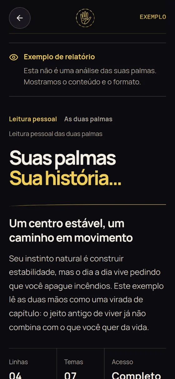 Capa do relatório de exemplo, com o aviso “Exemplo de relatório”: o título “Suas palmas. Sua história…”, a ideia principal e os contadores de linhas e temas