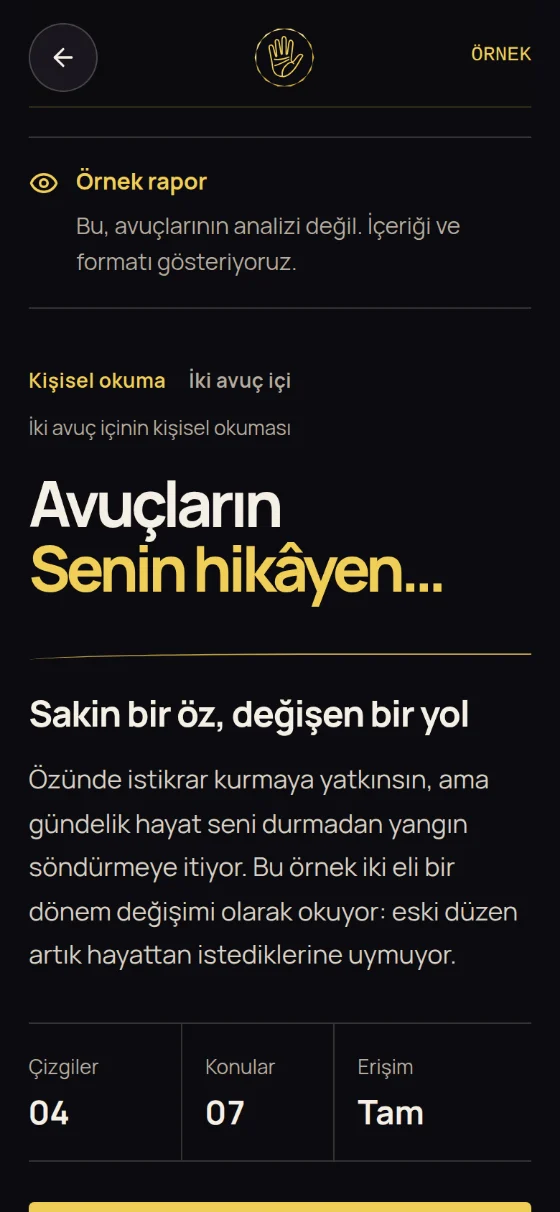 “Örnek rapor” notuyla örnek raporun kapağı: “Avuçların. Senin hikâyen…” başlığı, ana fikir ve çizgi ile konu sayaçları